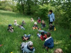 Kindergartenjahr 2009